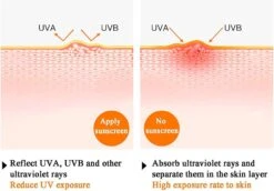 2pcs Facial Body Isolation Sunscreen Cream, Spf50+ Brightening Moisturizing Whole Body Refreshing Sunscreen Lotion 9 2pcs Facial Body Isolation Sunscreen Cream, Spf50+ Brightening Moisturizing Whole Body Refreshing Sunscreen Lotion -Cosmetics Promotion Store 1099607377 max
