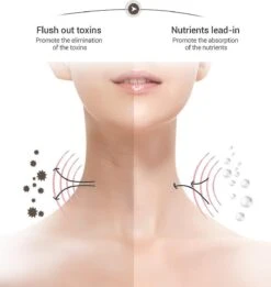 Face Massager Anti Wrinkles, 45 5 Heat & 3 Massage Mode, High Frequency Vibratiobn Facial Machine For Skin Tightening Lift, Skin Care Tools Gift, Rech -Cosmetics Promotion Store 1440033466 max