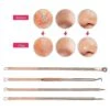 4pcs/set Acne Remover Tool Stainless Steel Rose Gold Double Head Needles Blackhead Extractor